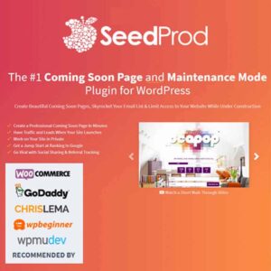 SeedProd Pro WordPress Bakım Modu Eklentisi