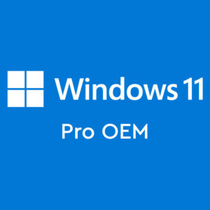 Windows 11 Pro OEM Key Lisans Anahtarı Ömür Boyu